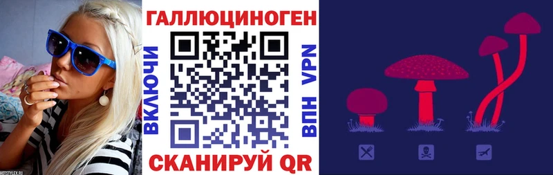 mega tor Шуя Псилоцибиновые грибы Magic Shrooms