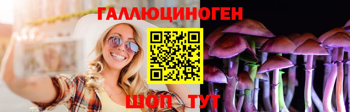 Шуя  наркотики  Вход с VPN  Псилоцибиновые грибы Psilocybine cubensis  Псилоцибиновые грибы мухоморы 